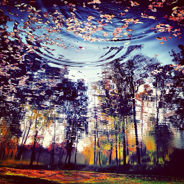 reflectingfallbycharity